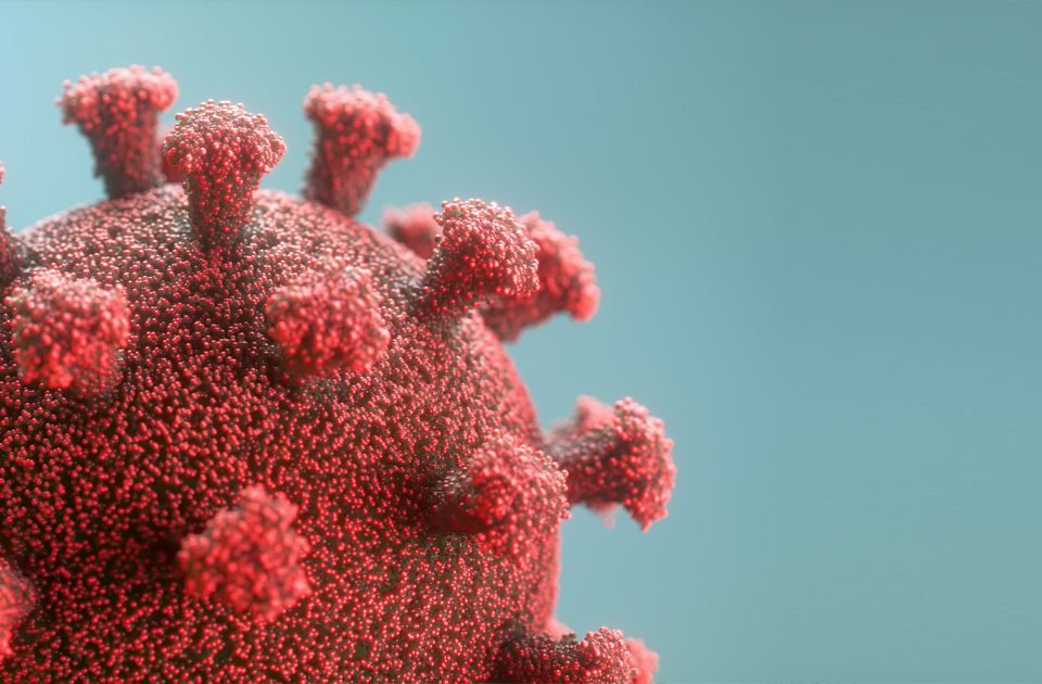 imagen diseño gráfico vacunación coronavirus