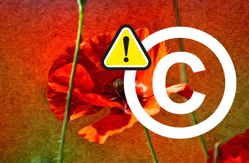 imagen-post-no-fotos-internet-para-publicidad