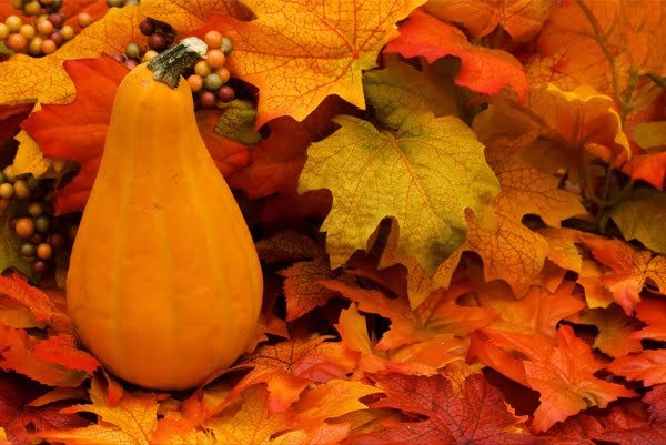 imagen calabaza colores del otoño
