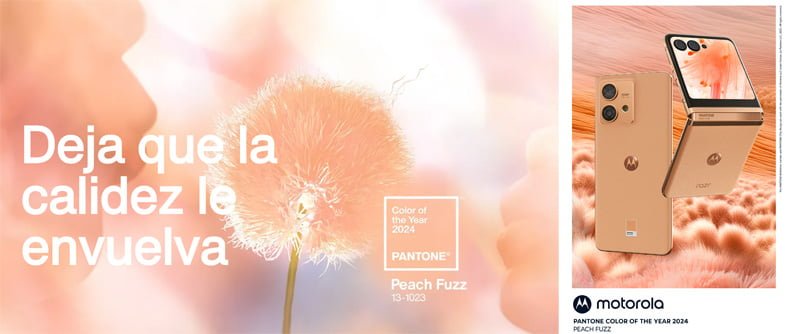 diseño gráfico 2024 pantone melocotón