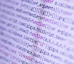 desarrollo web