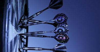 imagen de diana y dardos