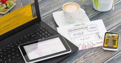 Fases para el desarrollo web