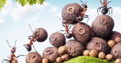 imagen cualidades del emprendedor