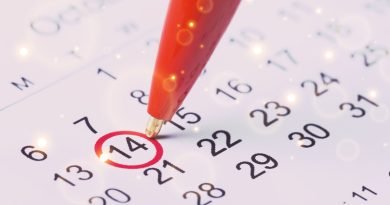 imagen post calendario laboral 2024