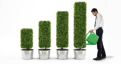 imagen-post-arketing-ecologico