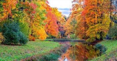 imagen-post-colores-del-otono