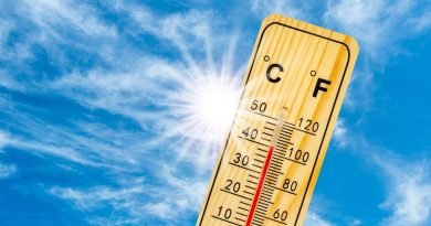 imagen-post-negocios-en-una-ola-de-calor copia