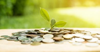 imagen-post-negocios-sostenibles