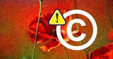 imagen-post-no-fotos-internet-para-publicidad